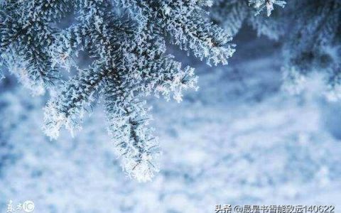 咏雪的名句100句，带你领略最美冬天！