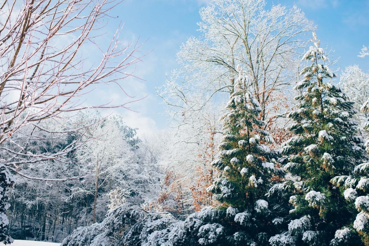 关于咏雪的诗句16首，冬如画，雪如诗