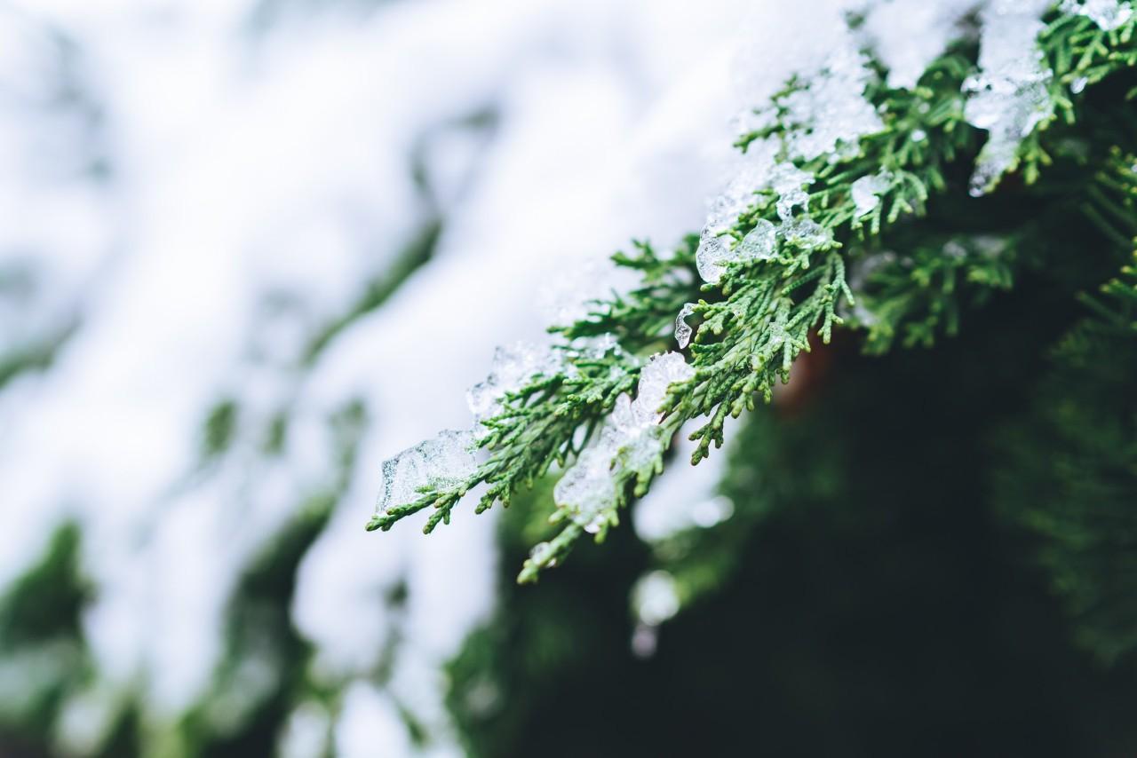 关于咏雪的诗句16首，冬如画，雪如诗