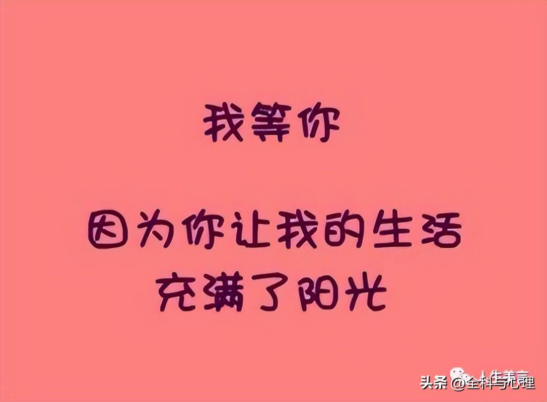 感人的爱情句子19句，说给你的另一半听