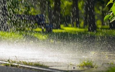 雨水文案15句，唤醒万物向上生长的希望