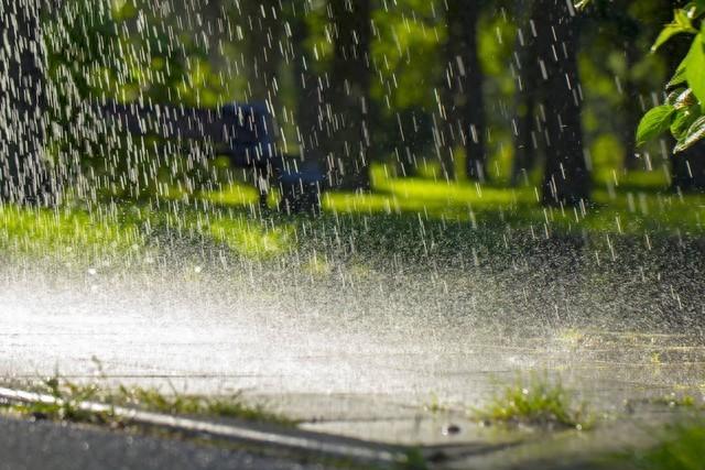 雨水文案15句，唤醒万物向上生长的希望