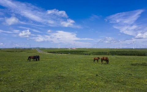 写景的句子20句，带您领略最美的风景