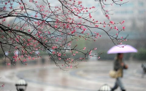 描写春雨的优美句子10句，一场春雨一场暖