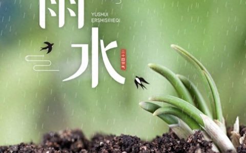 雨水文案15句，雨声嘀嗒，聆听春的轻语