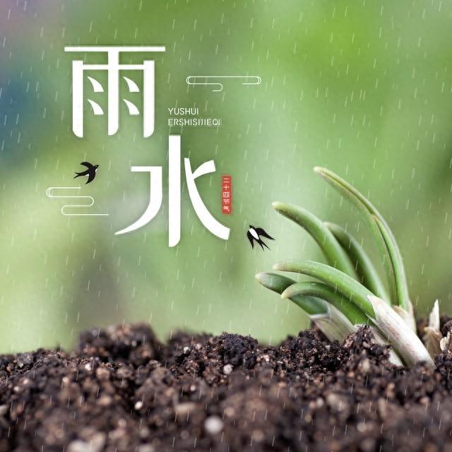 雨水文案15句，雨声嘀嗒，聆听春的轻语