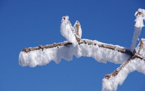 形容雪景的优美句子20句，总有一句让你心仪