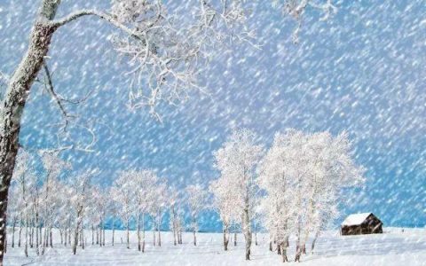 写雪的文章（雪花是一朵清芬的花）