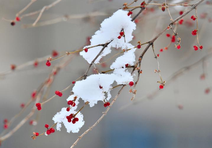 关于雪的句子40句，最美不过下雪天