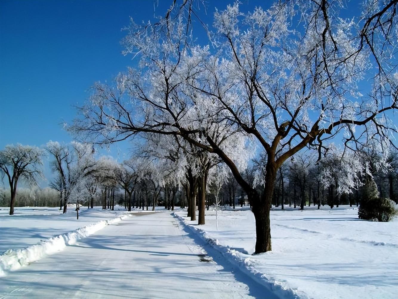 关于雪的句子40句，最美不过下雪天