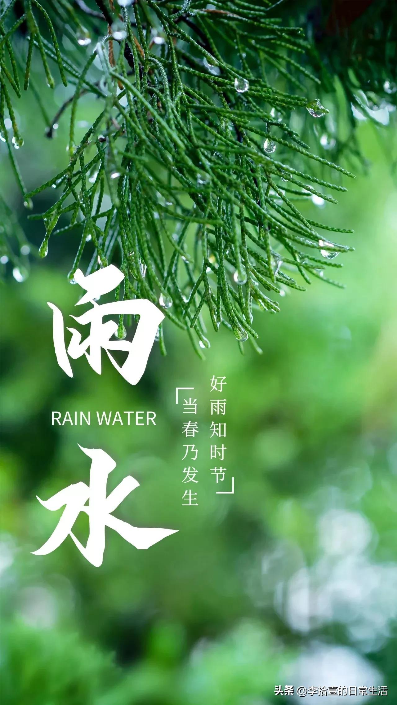 雨水文案15句，雨声嘀嗒，聆听春的轻语