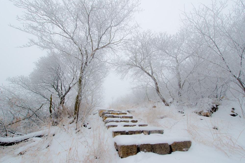 囊萤映雪的主人公是谁?车胤是个什么样的人简介