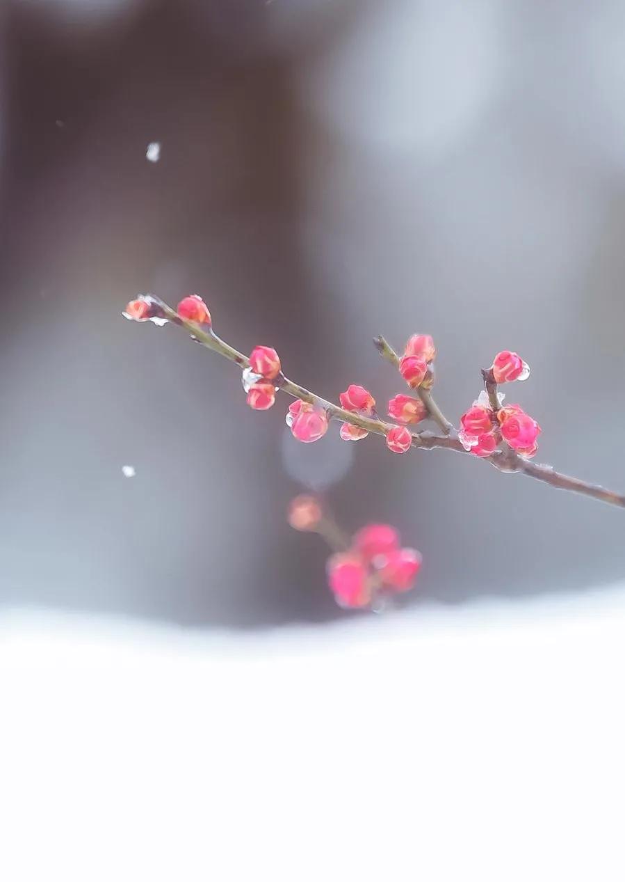 我为什么不给孩子选择“天才班”