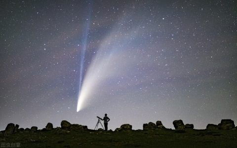 享受人生作文600字高中习作（人生要享受生命）