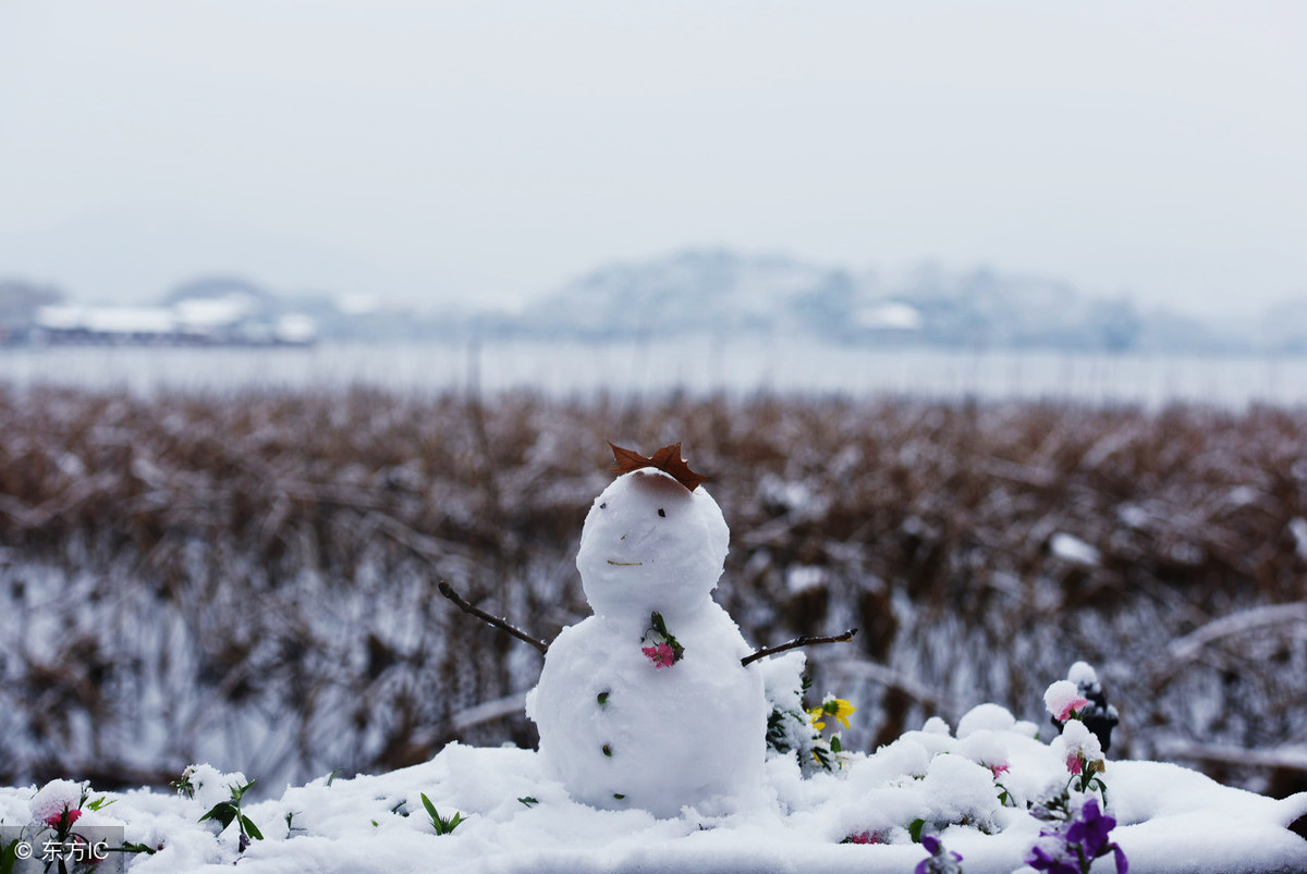 读诗赏雪｜15首最美雪景诗，教给孩子吧！