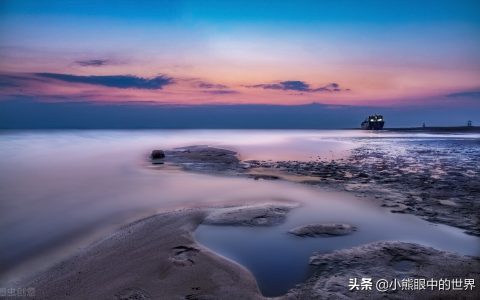 necroman小说暴风雨中的蝴蝶主要内容简介和读后感