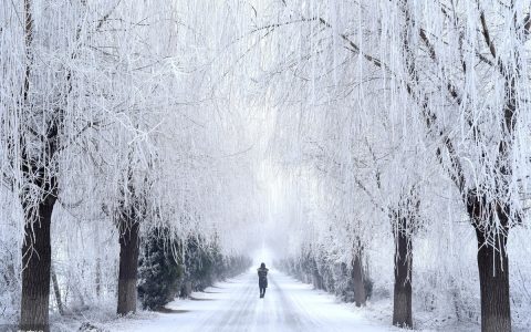 写雪的诗句古诗大全作文素材（15首最美雪景诗）