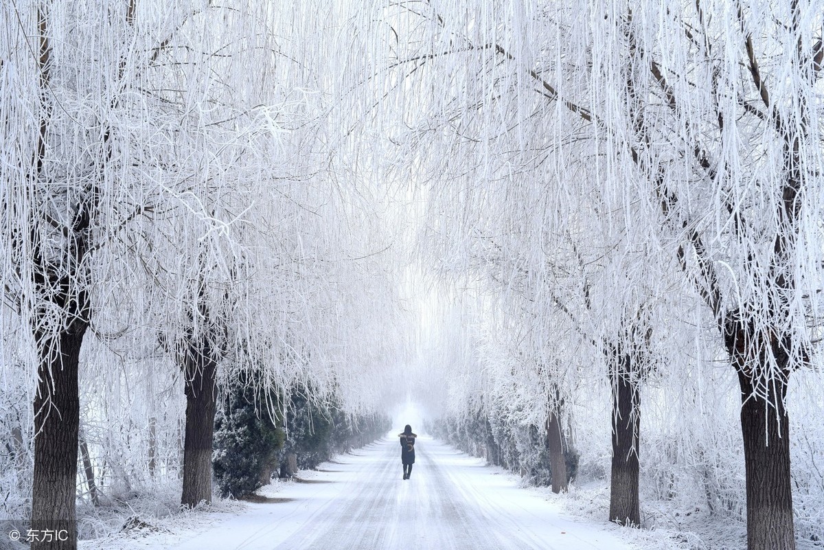 读诗赏雪｜15首最美雪景诗，教给孩子吧！